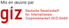 GIZ Logo
